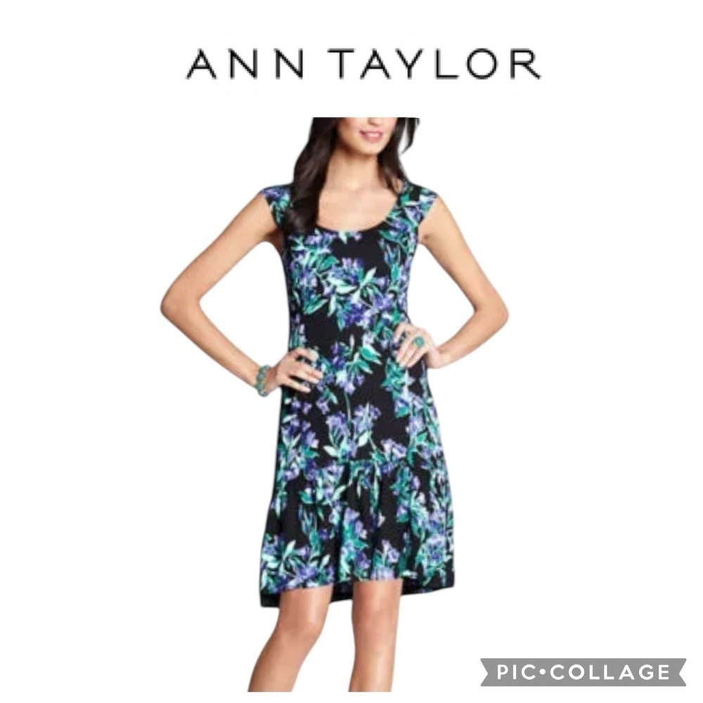 Ann Taylor Black Purple Green Floral Drop Flare Hem Shift Dress size 8 NWT $138